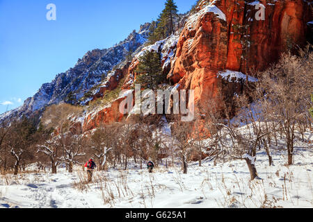 Gli escursionisti ad ovest sulla forcella il sentiero nel Canyon di Oak Creek vicino a Sedona in Arizona, in inverno Foto Stock