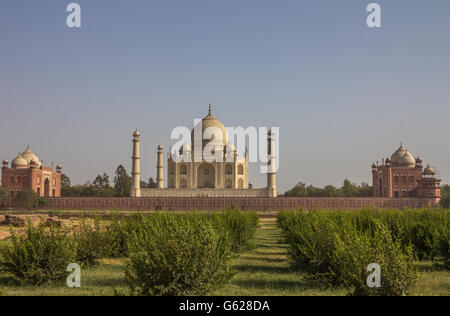 Lato posteriore del Taj Mahal in Agra India Foto Stock