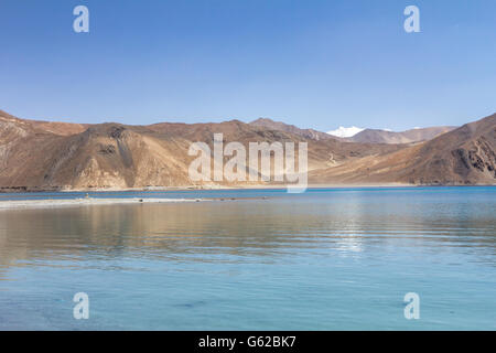 Pangong Tso lago in Ladak Kashmir Himalaya Foto Stock