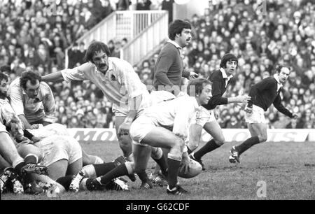 Inghilterra contro Scozia Rugby Union, la partita della Calcutta Cup a Twickenham, si è conclusa con un pareggio del 7-7. In questa foto uscendo dalla mischia (da sinistra a destra), il M.Rafter inglese: R.M.Utley (capitano): M.Young (palla): Arbitro C.Norling, e il capitano della Scozia I.R.McGeechan. Foto Stock