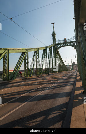 Ponte della Libertà a Budapest Ungheria Foto Stock