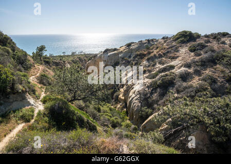 Percorso al punto di rasoio - Torrey Pines Sate Park, San Diego, CA Foto Stock