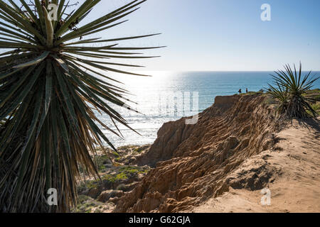 Punto di rasoio - Torrey Pines Sate Park, San Diego, CA Foto Stock