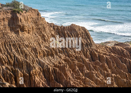 Punto di rasoio - Torrey Pines Sate Park, San Diego, CA Foto Stock