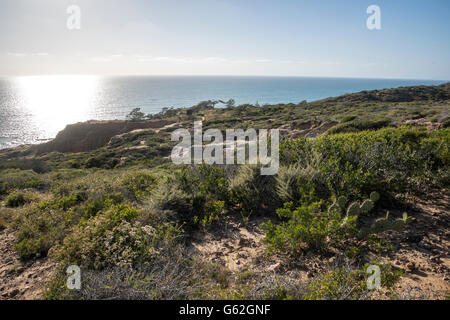 Torrey Pines Sate Park, San Diego, CA Foto Stock