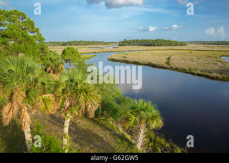 La Palude Salata pesce fodera Creek, Big Bend Seagrasses Aquatic preservare, Florida Foto Stock