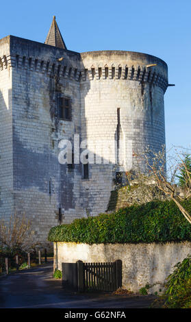 Città Reale di Loches (Francia) vista a molla. È stato costruito nel IX secolo. Foto Stock