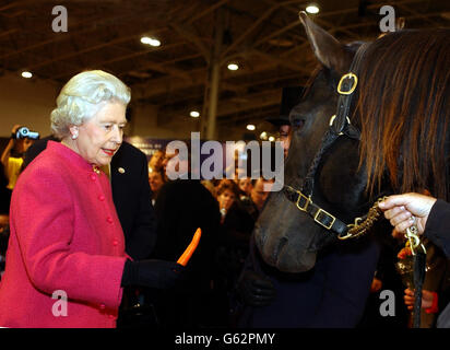 La regina Elisabetta II alimenta una carota ad un cavallo durante una visita, al National Trade Centre, luogo di esposizione a Toronto. La Regina e suo marito, il Duca di Edimburgo, sono attualmente in un tour di due settimane del Giubileo d'Oro del Canada. Foto Stock