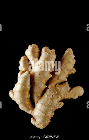Radice di Zenzero. Isolato su sfondo nero. Foto Stock