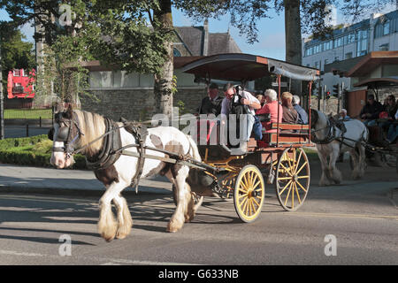 I turisti su un Pony Trap ride nel centro di Killarney, nella contea di Kerry, Irlanda (Eire). Foto Stock