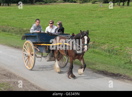 I turisti su un cavallo Trap ride (cavallo & trasporto) Muckross House, Killarney nella Contea di Kerry, Irlanda. Foto Stock