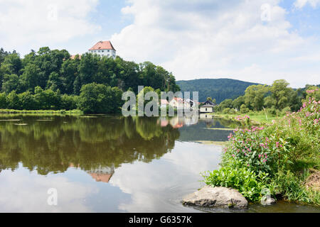 Fiume Regen, Stefling Castello, Nittenau, in Germania, in Baviera, Baviera, Oberpfalz, Palatinato superiore Foto Stock