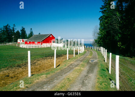 Rosso brillante granaio, Charles W. WILSON RANCH; caseificio & BOVINI DA CARNE, vicino Sequim, Washington, Stati Uniti d'America Foto Stock