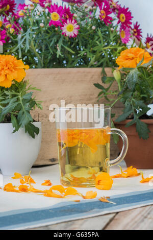 La infusione di petali Tagetes in supporti in vetro su un tavolo di legno su una tovaglia di lino, fiori in background Foto Stock