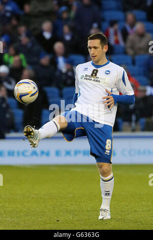 Calcio - Npower Football League Championship - Brighton and Hove Albion / Charlton Athletic - AMEX Stadium. Andrew Crafts, Brighton e Hove Albion Foto Stock