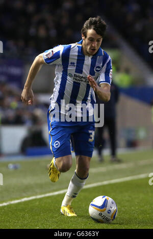 Calcio - campionato nazionale di calcio - Brighton and Hove Albion v Charlton Athletic - AMEX Stadium. William Buckley, Brighton e Hove Albion Foto Stock