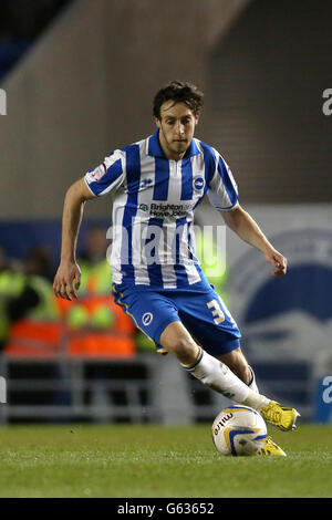 Calcio - campionato nazionale di calcio - Brighton and Hove Albion v Charlton Athletic - AMEX Stadium. William Buckley, Brighton e Hove Albion Foto Stock