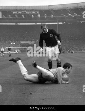 Gordon Banks (Leicester), il portiere inglese, si tuffa di fronte a Denis Law (Manchester United) per battere la Scozia all'interno-sinistra al pallone durante la partita di calcio internazionale al Wembley Stadium. Foto Stock