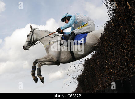 Stagecoach Pearl guidato da Ryan Mania saltare una recinzione nel marchio Scotty handicap Steeple Chase durante il secondo giorno del 2013 Coral Scottish Grand National meeting presso l'Ayr Racecourse, Ayr. Foto Stock