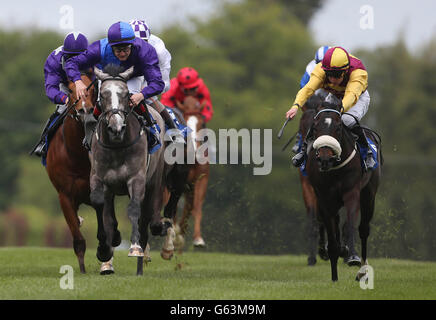 L'aspetto sacro guidato da Shane Foley vince la Irlandese Stallion Farms European Breeders Fund Auction Maiden durante la giornata di prova di Derrinstown Stud Derby presso l'ippodromo di Leopardstown, Dublino, Irlanda. PREMERE ASSOCIAZIONE foto. Data immagine: Domenica 12 maggio 2013. Visita PA Story RACING Leopardstown. Il credito fotografico deve essere: Niall Carson/PA Wire Foto Stock