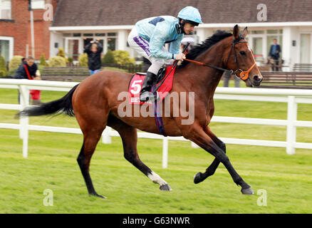 Corse di cavalli - il Derby Trial Weekender - Lingfield Park Racecourse. Jockey Richard Kingscote su Northern Star va al post per il Betfred 'il Re Bonus 'Oaks Trial Stakes Foto Stock