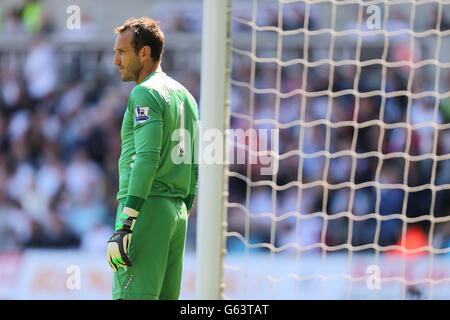 Calcio - Barclays Premier League - Swansea City v Fulham - Liberty Stadium. Il portiere di Fulham Mark Schwarzer Foto Stock