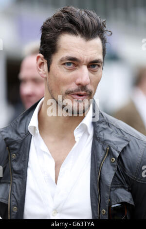 RHS Chelsea Flower Show. David Gandy partecipa al RHS Chelsea Flower Show, Londra. Foto Stock