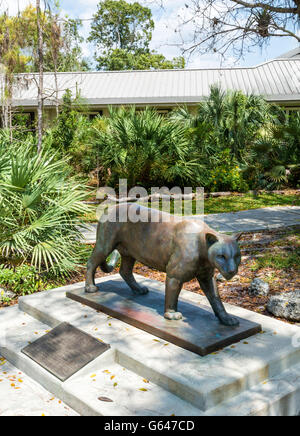 Florida Everglades National Park, Ernest F. Coe Visitor Center, Florida Panther scultura in bronzo Foto Stock