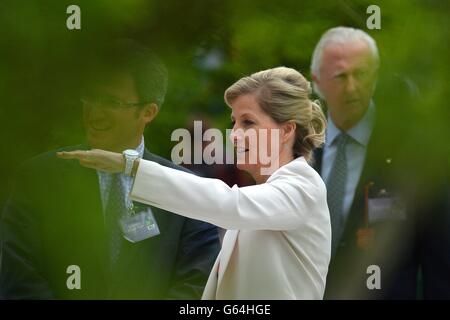 RHS Chelsea Flower Show Foto Stock