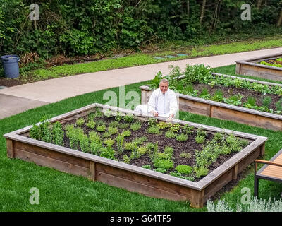 Direttore culinario Roy Breiman mostra l'orto di erbe aromatiche e di verdura che alimenta Cedarbrook Lodge il ristorante gourmet Foto Stock