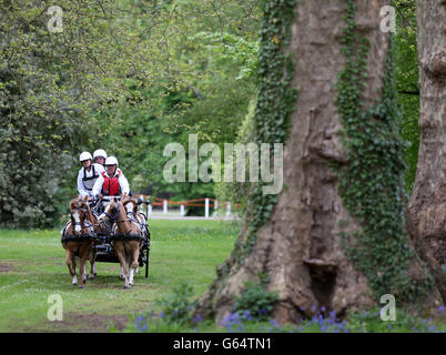 Sara Howe compete nella gara di guida ad ostacoli nel Gran Premio di guida internazionale di Land Rover durante il quarto giorno del Royal Windsor Horse Show al Castello di Windsor, Berkshire. Foto Stock