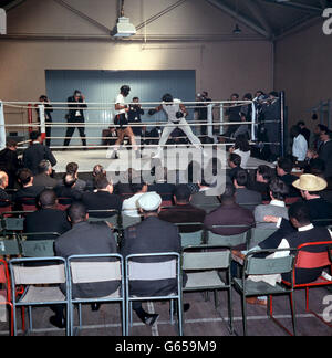 Muhammad Ali (Cassius Clay), in bianco, con Jimmy Ellis del Kentucky presso la sala di perforazione White City durante l'allenamento per la sua difesa del titolo mondiale pesante contro Henry Cooper. Foto Stock