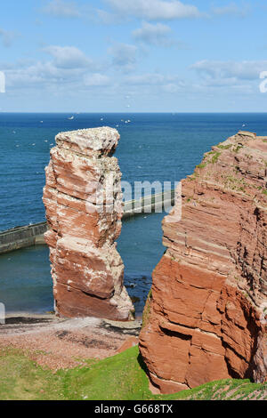 Ago di roccia, lange anna rocce uccelli, isola di Helgoland, SCHLESWIG-HOLSTEIN, Germania Foto Stock