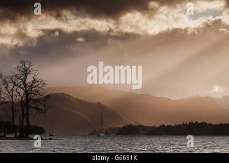 Una struttura ad albero stagliano contro un soleggiato Hallin cadde, con Ullswater in primo piano, Pooley Bridge, Cumbria, Inghilterra Foto Stock