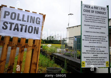 Una stazione di polling segno viene visualizzato su una gabbia in legno a Craner producono frutta morbida in fattoria Broadley comune, Essex, come testa di elettori alle urne in tutto il Regno Unito in una storica referendum su se il Regno Unito dovrebbe rimanere un membro della Unione Europea o lasciare. Foto Stock