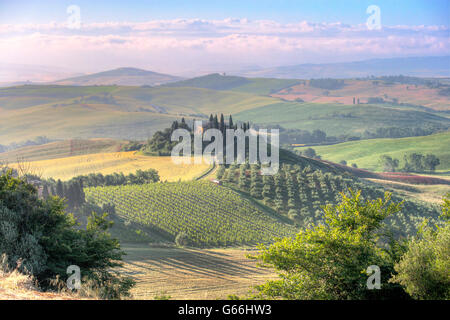 Podere Belvedere Val d'Orcia,Toscana nel Maggio Foto Stock