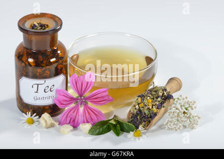 La menta piperita, dolce infestante, Marshmallow foglia, radice di malvone, Achillea, Malva foglia, Malva, comune matricaria recutita / (Malva Sylvestris), Achillea millefolium), (Mentha piperita), (Althaea officinalis) / camomilla, camomilla, Chamomille, camomilla annuale, blu camomilla, comune camomilla, dolce camomilla, della camomilla selvaggia, camomilla selvaggia, camomilla tedesca Foto Stock