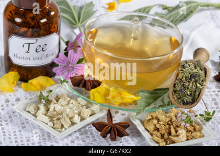 Marshmallow, radice di malvone, radice di liquirizia, dolce radice, Mullein, grande Mullein, comune mullein, Malva foglia, Malva, comune malva, timo, anice stellato, Lungwort / (Althaea officinalis), (Althaeae folium), (Althaeae radix), (Glycyrrhiza glabra), (Glycyrrhizae radix), (Thymus vulgaris), (Pulmonaria officinalis), (llicium verum), (Malva Sylvestris), (Molène densiflorum) Foto Stock