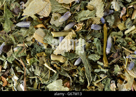 Nervi e calmare il tè, dolci di fiori d'arancio, balsamo, erba di San Giovanni, ambra, lavanda, Hop, fiore della passione herb / (Melissa officinalis), (Passiflora incarnata), (Citrus sinensis), (Hypericum perforatum), (Humulus lupulus), (Lavandula angustifolia) Foto Stock