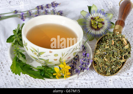 Nervi e calmare il tè, dolci di fiori d'arancio, balsamo, erba di San Giovanni, ambra, lavanda, Hop, fiore della passione herb / (Melissa officinalis), (Passiflora incarnata), (Citrus sinensis), (Hypericum perforatum), (Humulus lupulus), (Lavandula angustifolia) Foto Stock