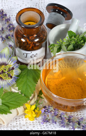 Nervi e calmare il tè, dolci di fiori d'arancio, balsamo, erba di San Giovanni, ambra, lavanda, Hop, fiore della passione herb / (Melissa officinalis), (Passiflora incarnata), (Citrus sinensis), (Hypericum perforatum), (Humulus lupulus), (Lavandula angustifolia) Foto Stock