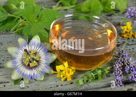 Nervi e calmare il tè, dolci di fiori d'arancio, balsamo, erba di San Giovanni, ambra, lavanda, Hop, fiore della passione herb / (Melissa officinalis), (Passiflora incarnata), (Citrus sinensis), (Hypericum perforatum), (Humulus lupulus), (Lavandula angustifolia) Foto Stock