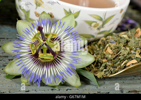 Nervi e calmare il tè, dolci di fiori d'arancio, balsamo, erba di San Giovanni, ambra, lavanda, Hop, fiore della passione herb / (Melissa officinalis), (Passiflora incarnata), (Citrus sinensis), (Hypericum perforatum), (Humulus lupulus), (Lavandula angustifolia) Foto Stock