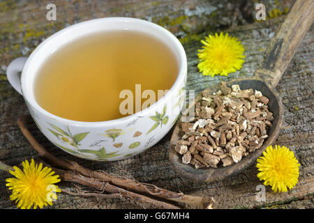 Una tazza di radici di tarassaco tè / (Taraxacum officinale) Foto Stock