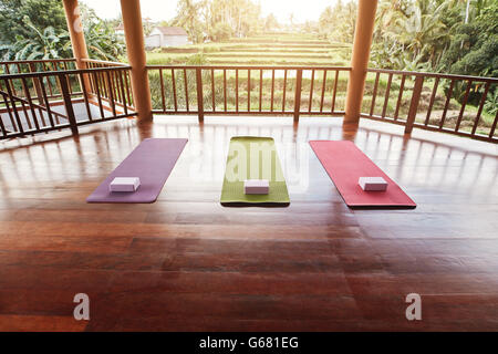 Vuoto studio di yoga con tappeto coloratissimo e yoga mattone. Foto Stock