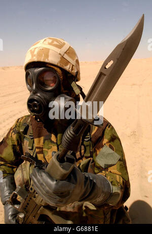 Le forze britanniche in Kuwait Foto Stock