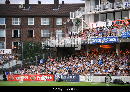 Cricket - Friends Life T20 - Surrey v Middlesex Panthers - The Kia Oval. Tifosi in stand al Kia Oval durante la partita Foto Stock