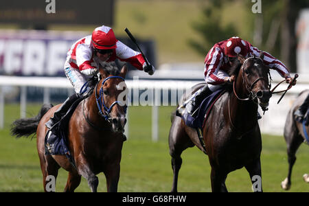 Horse Racing 2013 - 2013 Piper-Heidsieck Luglio Festival - Abu Dhabi Gentlemen's Day - Newmarket Racecourse Foto Stock