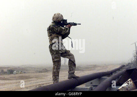 Iraq guerra ratti nel deserto Foto Stock