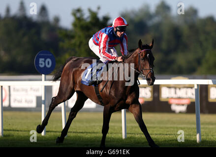 Royal Diamond guidato dal jockey Johnny Murtagh corre a casa nel Challenge Stakes all'ippodromo di Leopardstown, Dublino, Irlanda. Foto Stock